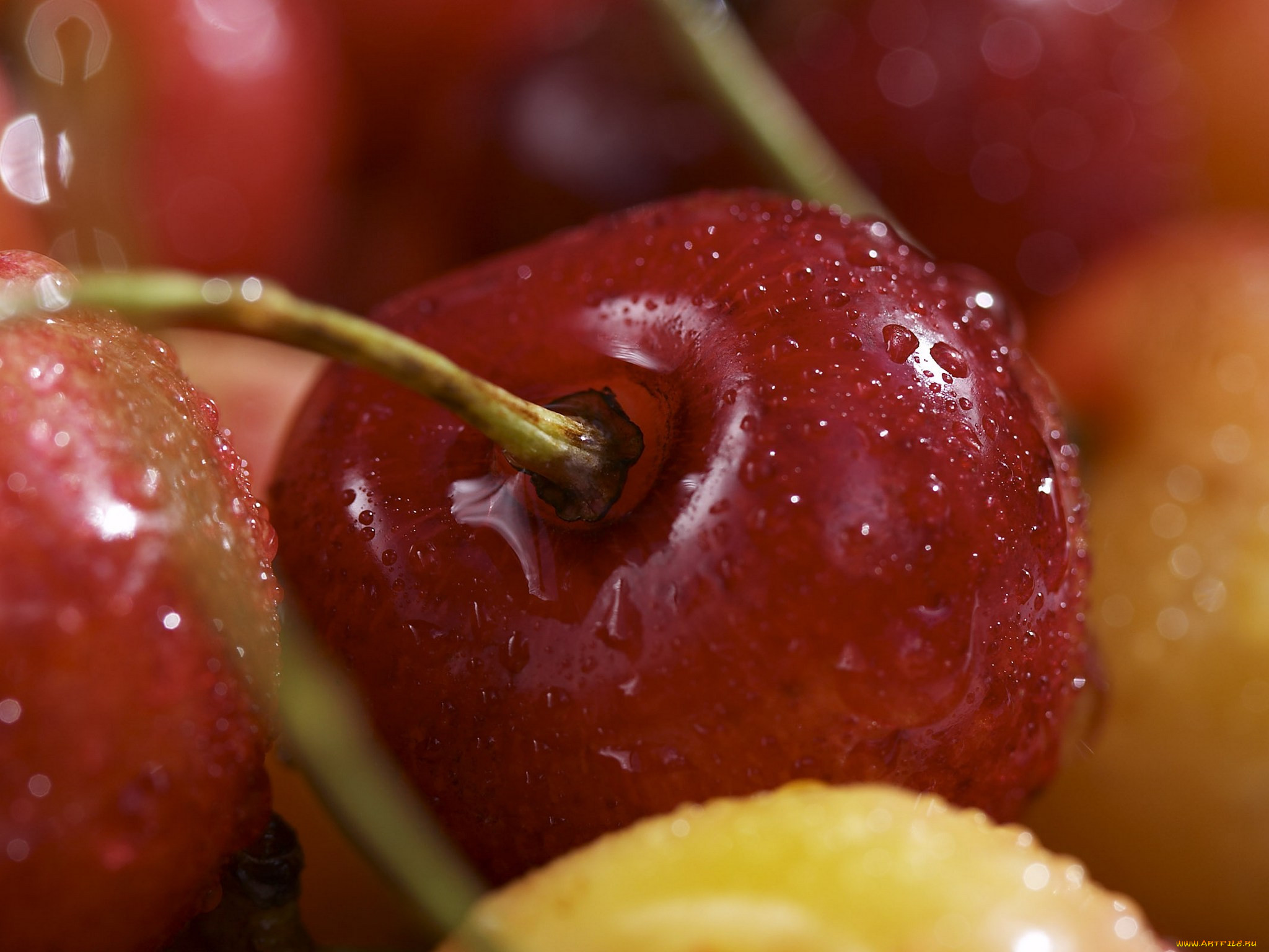 Some cherries. Картинки на рабочий стол вишня. Фрукты черешня. Фрукты макро. Ягоды макро.